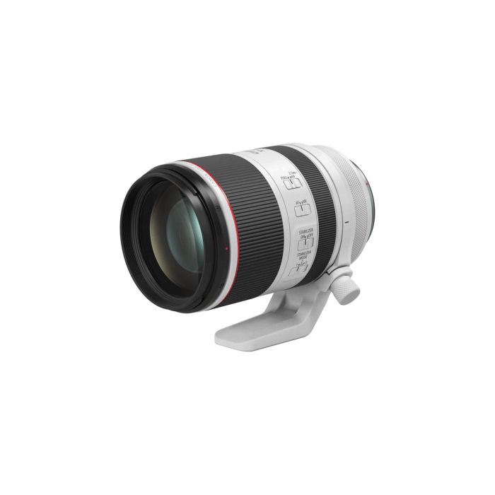 Canon RF 70-200mm f/2.8L IS USM Lens - Image 3
