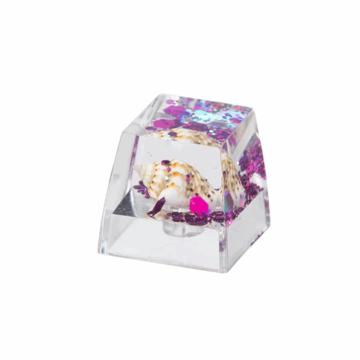 Keychron Whelk Resin Artisan Keycap-Purple, RT-28 - Image 1