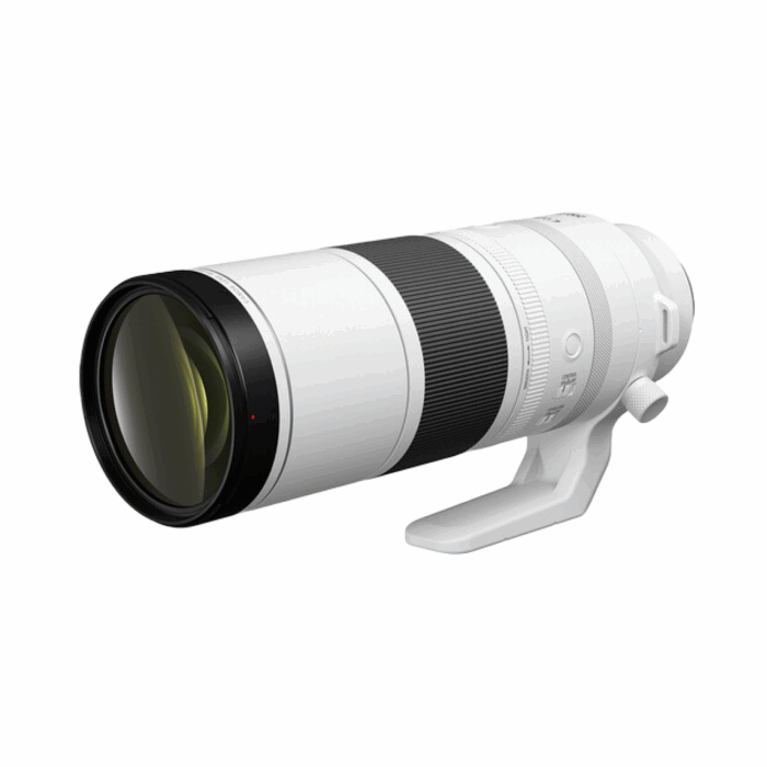 Canon RF200-800mm f/6.3-9 IS USM Lens - Image 3
