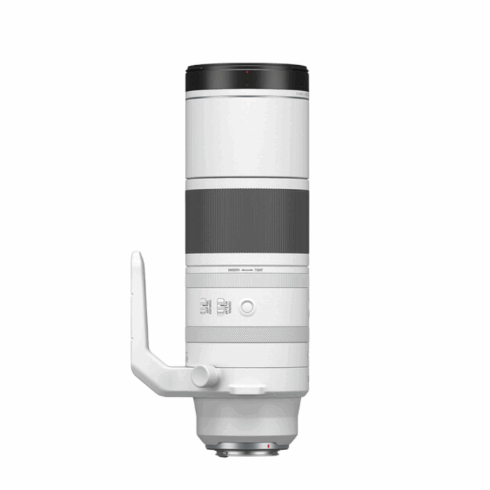 Canon RF200-800mm f/6.3-9 IS USM Lens - Image 6